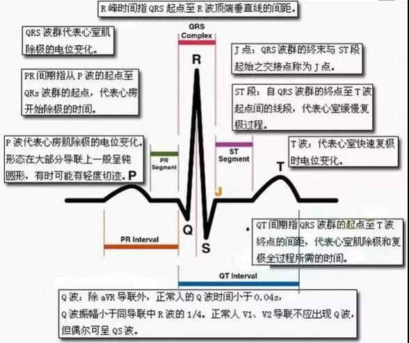 微信图片_20190821105914.jpg