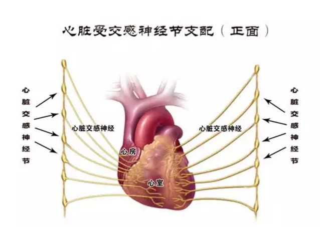 微信截图_20190616102942.png